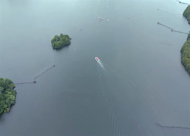Aerial View of Tourists Boating on Madu Ganga Mangrove Lagoon Sri Lanka