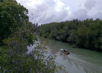 Aerial View of Tourists Boating on Madu Ganga Mangrove Lagoon Sri Lanka