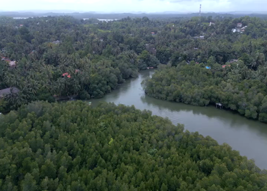 Aerial View of Tourists Boating on Madu Ganga Mangrove Lagoon Sri Lanka