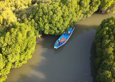 Aerial View of Tourists Enjoying Boat Ride in Pichavaram Mangrove Forest