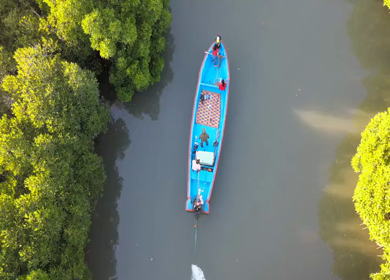 Aerial View of Tourists Enjoying Boat Ride in Pichavaram Mangrove Forest