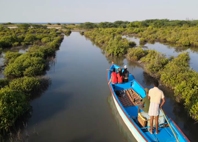 Aerial View of Tourists Enjoying Boat Ride in Pichavaram Mangrove Forest