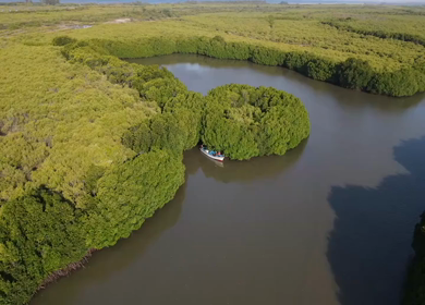 Aerial View of Tourists Enjoying Boat Ride in Pichavaram Mangrove Forest