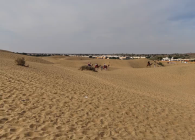 Aerial View of Tourists Enjoying Camel Ride in Jaisalmer Thar Desert Rajasthan India