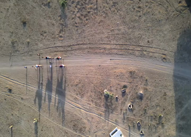 Aerial View of Tourists Enjoying Camel Ride in Jaisalmer Thar Desert Rajasthan India