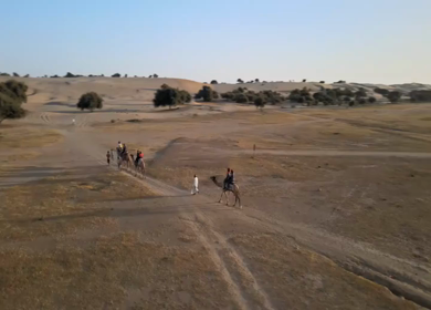 Aerial View of Tourists Enjoying Camel Ride in Jaisalmer Thar Desert Rajasthan India