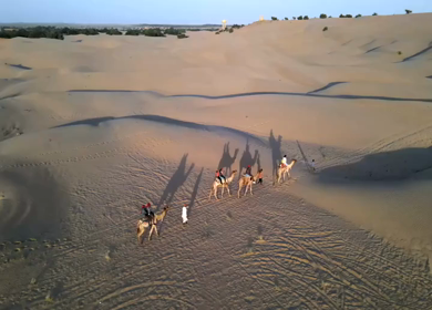 Aerial View of Tourists Enjoying Camel Ride in Jaisalmer Thar Desert Rajasthan India