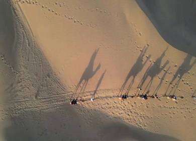 Aerial View of Tourists Enjoying Camel Ride in Jaisalmer Thar Desert Rajasthan India