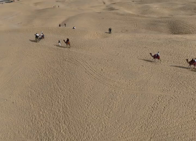 Aerial View of Tourists Enjoying Camel Ride in Jaisalmer Thar Desert Rajasthan India