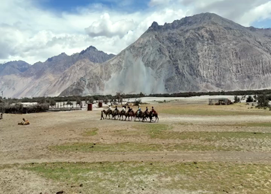 Aerial View of Tourists Enjoying Camel Ride in Nubra Valley Ladakh India