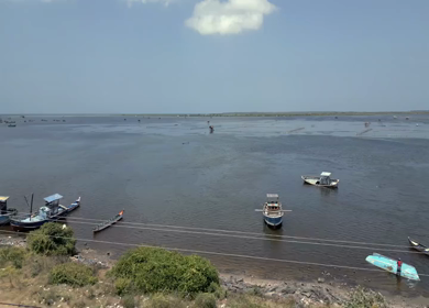 Aerial View of Traditional Fishing Kraal Nets Near Jaffna Fort Sri Lanka