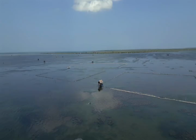 Aerial View of Traditional Fishing Kraal Nets Near Jaffna Fort Sri Lanka