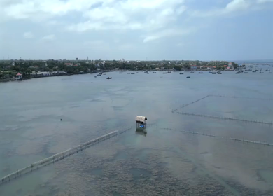 Aerial View of Traditional Fishing Kraal Nets Near Jaffna Fort Sri Lanka