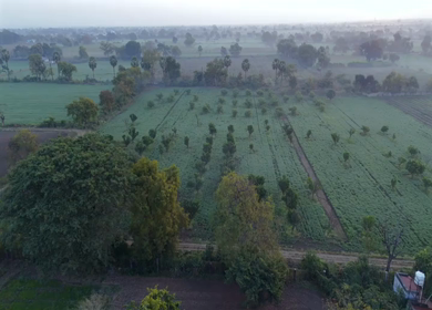 Aerial View of Traditional Rural Village and Red Tiled Houses Sri Lanka