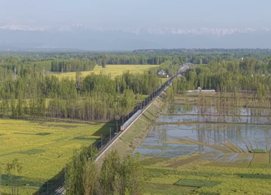Aerial View of Train Passing Pampore Station in Srinagar Kashmir