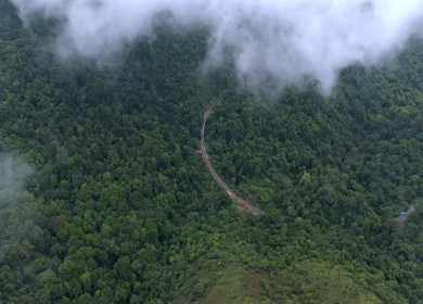 Aerial View of Train Passing Through Misty Forest in Kanyakumari Tamil Nadu