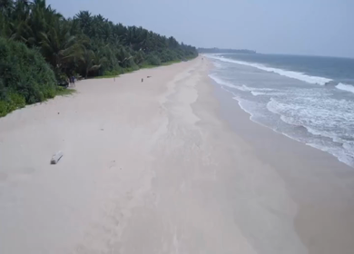 Aerial View of Tropical Beach and Coconut Palm Coastline Sri Lanka