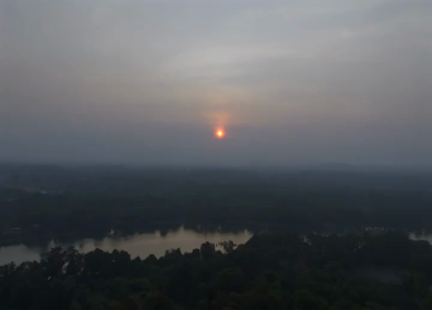 Aerial View of Tropical River and Dense Forest Sri Lanka