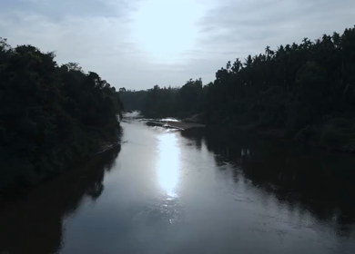 Aerial View of Tropical River and Dense Forest Sri Lanka