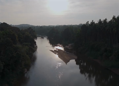 Aerial View of Tropical River and Dense Forest Sri Lanka