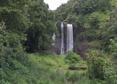 Aerial View of Ukashi Waterfall in Lush Green Forest Karnataka India