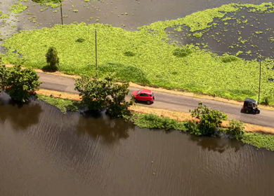 Aerial View of Veliyanad Road and Kerala Backwaters Alappuzha Kerala India
