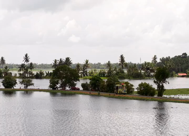 Aerial View of Veliyanad Road and Kerala Backwaters Alappuzha Kerala India