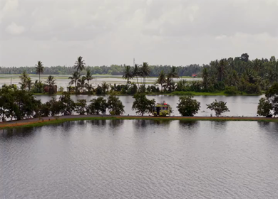 Aerial View of Veliyanad Road and Kerala Backwaters Alappuzha Kerala India