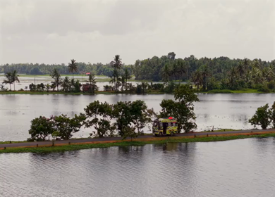 Aerial View of Veliyanad Road and Kerala Backwaters Alappuzha Kerala India