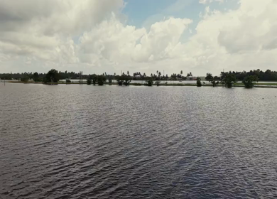 Aerial View of Veliyanad Road and Kerala Backwaters Alappuzha Kerala India