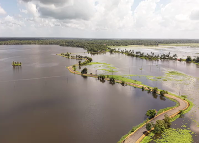 Aerial View of Veliyanad Road and Kerala Backwaters Alappuzha Kerala India