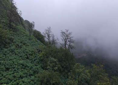 Aerial View of Waterfall in Misty Green Hills of Maharashtra