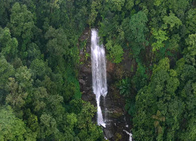 Aerial View of Waterfall in Sharavati Valley, Misty Forest, Karnataka