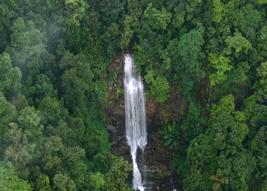 Aerial View of Waterfall in Sharavati Valley, Misty Forest, Karnataka