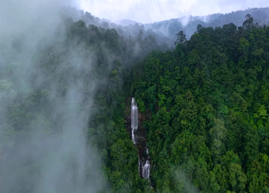 Aerial View of Waterfall in Sharavati Valley, Misty Forest, Karnataka