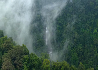 Aerial View of Waterfall in Sharavati Valley, Misty Forest, Karnataka