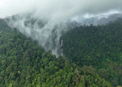 Aerial View of Waterfall in Sharavati Valley, Misty Forest, Karnataka