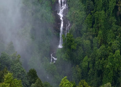 Aerial View of Waterfall in Sharavati Valley, Misty Forest, Karnataka