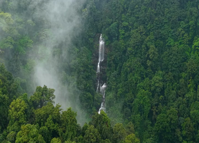 Aerial View of Waterfall in Sharavati Valley, Misty Forest, Karnataka