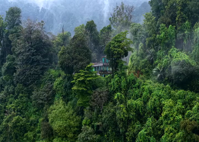 Aerial View of Waterfall in Sharavati Valley, Misty Forest, Karnataka