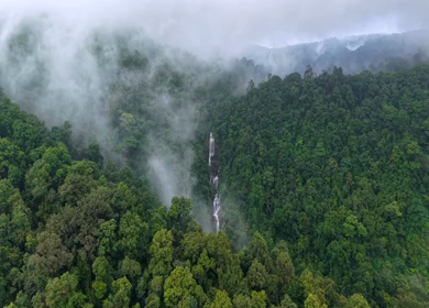 Aerial View of Waterfall in Sharavati Valley, Misty Forest, Karnataka