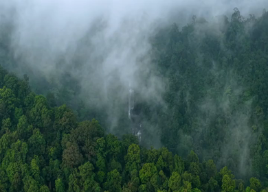 Aerial View of Waterfall in Sharavati Valley, Misty Forest, Karnataka