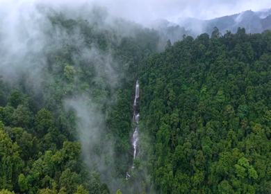 Aerial View of Waterfall in Sharavati Valley, Misty Forest, Karnataka