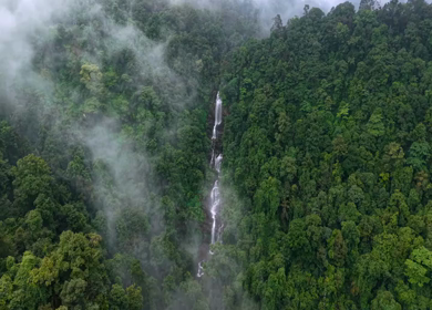 Aerial View of Waterfall in Sharavati Valley, Misty Forest, Karnataka