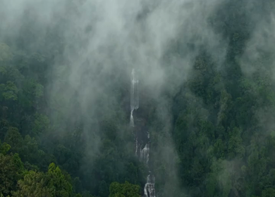 Aerial View of Waterfall in Sharavati Valley, Misty Forest, Karnataka