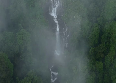 Aerial View of Waterfall in Sharavati Valley, Misty Forest, Karnataka