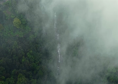 Aerial View of Waterfall in Sharavati Valley, Misty Forest, Karnataka
