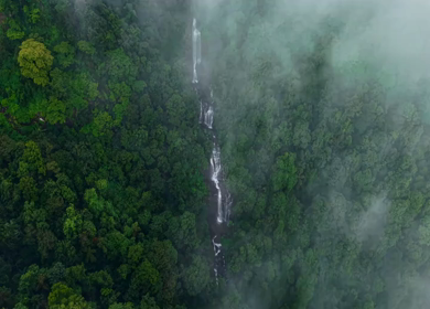 Aerial View of Waterfall in Sharavati Valley, Misty Forest, Karnataka