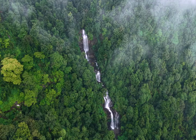 Aerial View of Waterfall in Sharavati Valley, Misty Forest, Karnataka