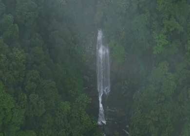 Aerial View of Waterfall in Sharavati Valley, Misty Forest, Karnataka